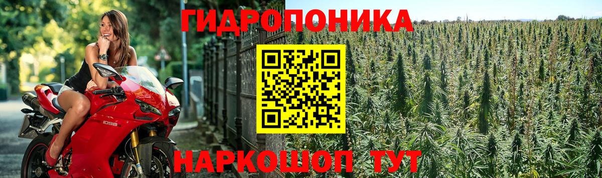 Первоуральск  Марихуана тримм  Шишки марихуана Bruce Banner  МАРИХУАНА тримм  Каннабис индика  Вход с VPN 